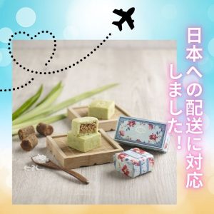 Pandan Coconut Shortcakes (2pcs)<br>(Bundle of 12) <br>パンダンココナッツショートケーキ（2個入り）<br>12箱セット<br>日本への配送料込みの価格です。