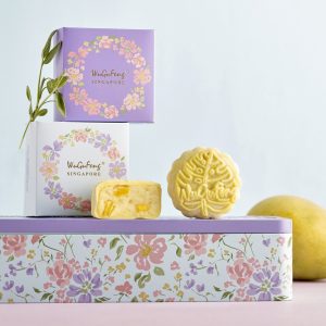SNOW SKIN - Golden Mango Jade — Mung Bean with Mango (Yellow)80g<br>冰皮 - 雪映玉芒 （绿豆芒果） 80克<br>8pcs in Gift Box @$60/box