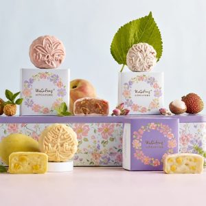 SNOW SKIN - An Assortment of above 4 Flavours 80g<br>冰皮 - 4款匠心拼装 80克<br>8pcs in Gift Box @$65/box